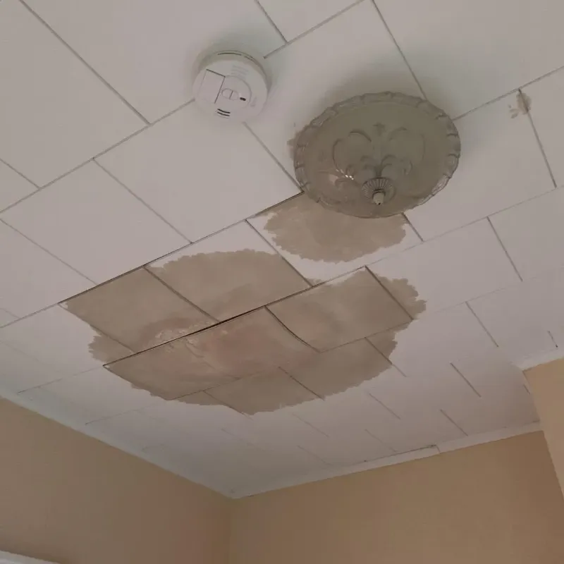 Ceiling Water Damage Repair in City of Virginia Beach, VA