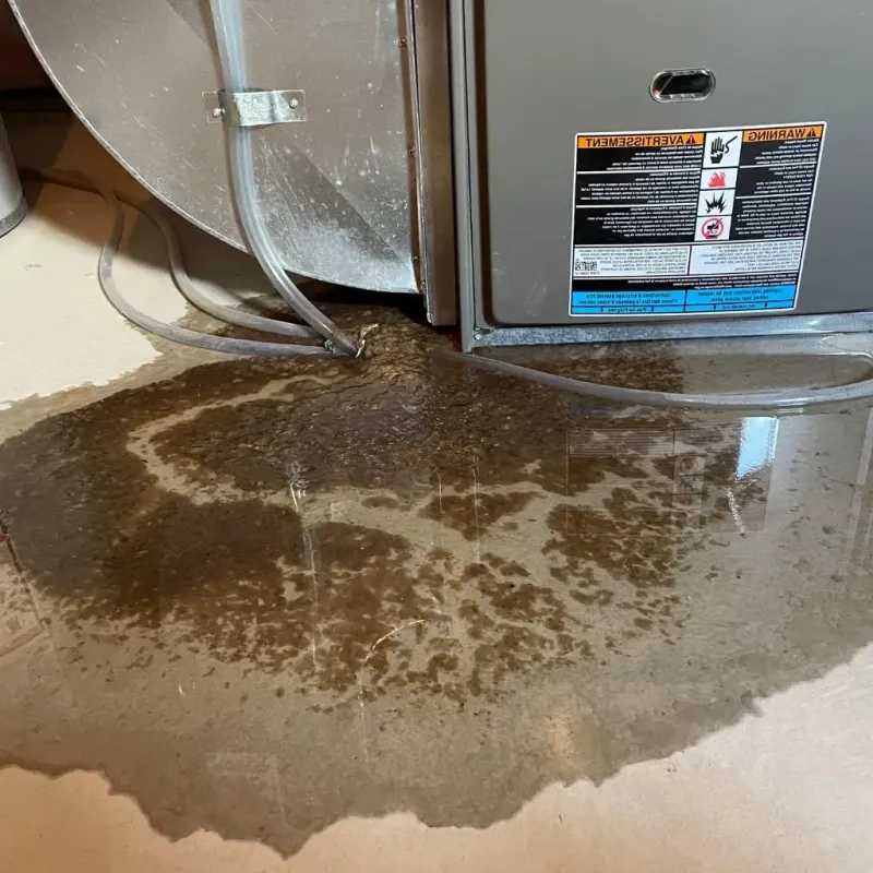 Pipe Burst and Leak Restoration in City of Virginia Beach, VA